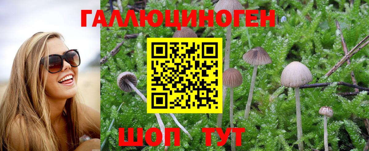 Псилоцибиновые грибы Magic Shrooms Казань