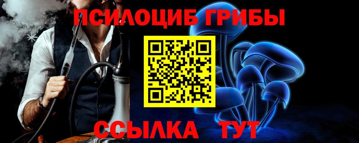 Казань  Галлюциногенные грибы MAGIC MUSHROOMS  Вход с VPN 